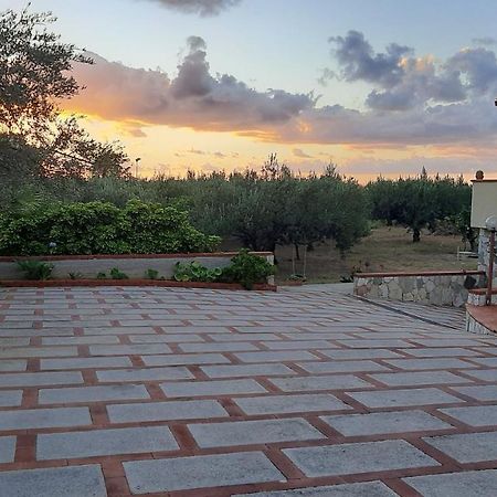 Casanonnavittoria Acomodação com café da manhã Terrasini Exterior foto